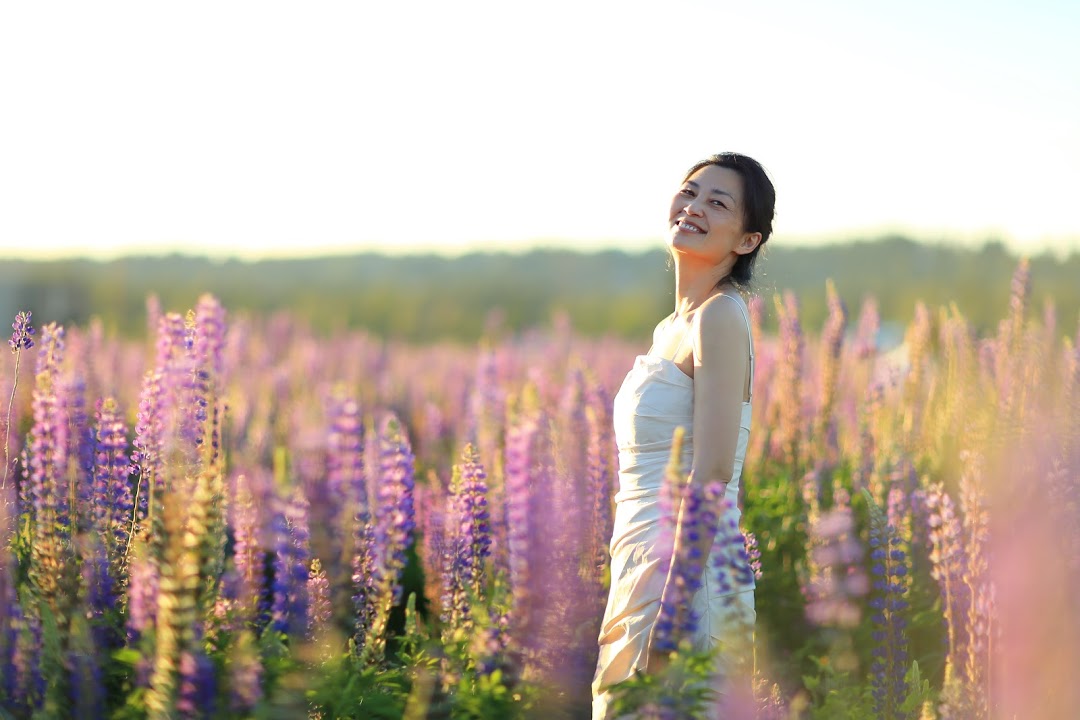 夕阳下鲁冰花田中的白裙人像 3