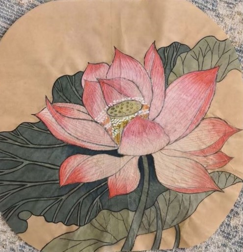 荷花